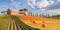 Colline toscane Poster Print by Adriano Galasso - Item # VARPDX2AD1192